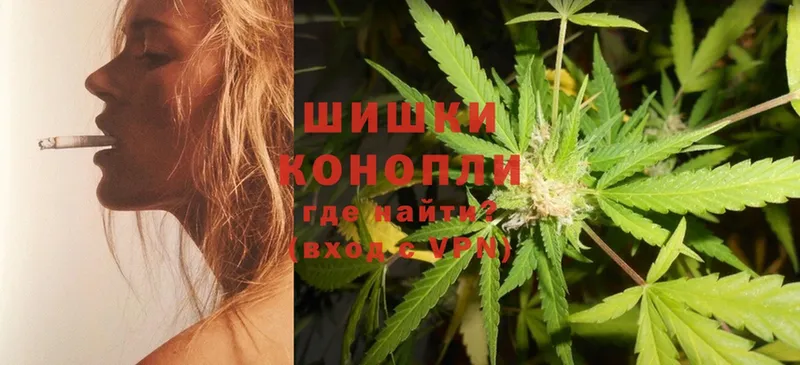 Бошки марихуана SATIVA & INDICA  где купить   mega ONION  Белая Холуница 